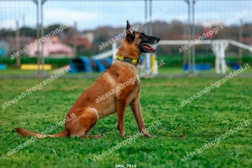 IMG_7019.jpg