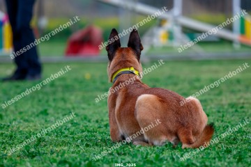 IMG_7025.jpg