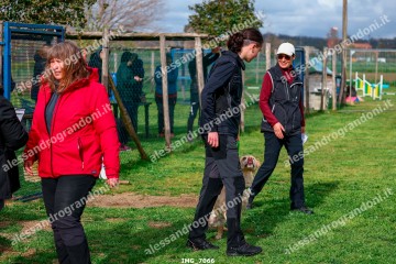 IMG_7066.jpg