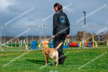 IMG_7074.jpg