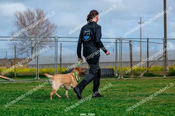 IMG_7090.jpg