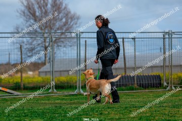 IMG_7111.jpg