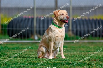IMG_7162.jpg