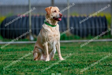 IMG_7169.jpg