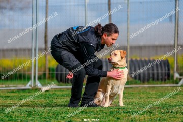 IMG_7180.jpg