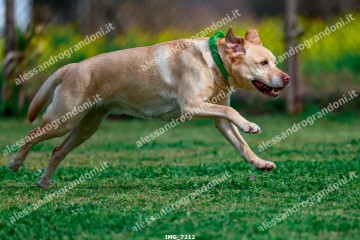 IMG_7212.jpg