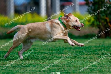 IMG_7222.jpg