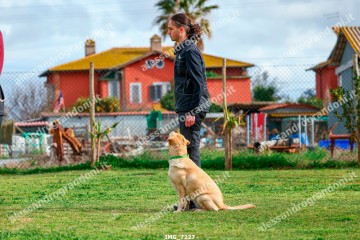 IMG_7227.jpg