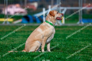 IMG_7262.jpg
