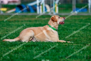 IMG_7266.jpg