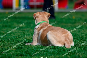 IMG_7276.jpg