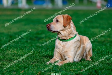 IMG_7283.jpg