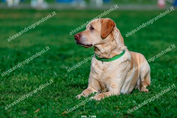 IMG_7288.jpg