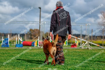 IMG_7303.jpg