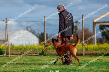 IMG_7317.jpg