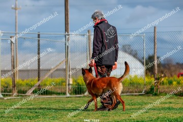IMG_7323.jpg
