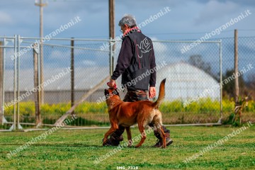IMG_7328.jpg