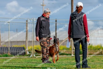 IMG_7334.jpg