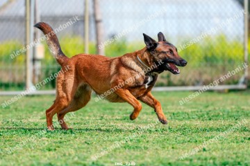 IMG_7349.jpg