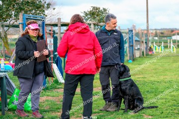 IMG_7389.jpg