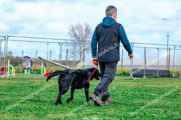IMG_7393.jpg
