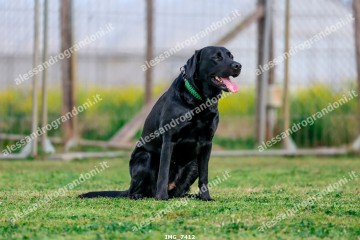 IMG_7412.jpg