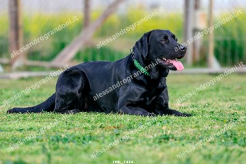IMG_7414.jpg