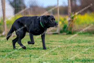 IMG_7417.jpg