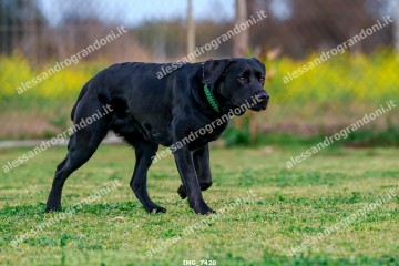 IMG_7420.jpg