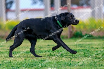 IMG_7426.jpg