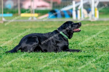 IMG_7454.jpg