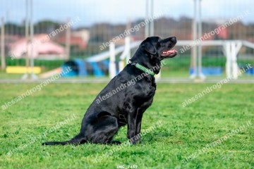 IMG_7457.jpg