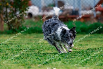 IMG_7466.jpg