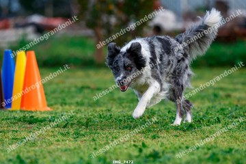 IMG_7472.jpg