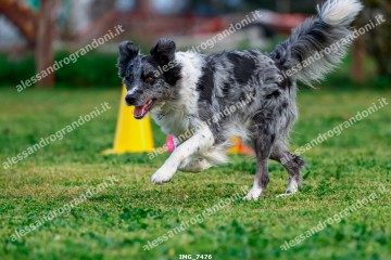 IMG_7476.jpg