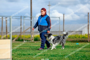 IMG_7508.jpg
