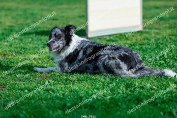 IMG_7511.jpg