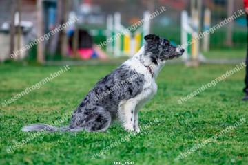 IMG_7532.jpg