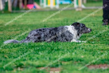 IMG_7534.jpg