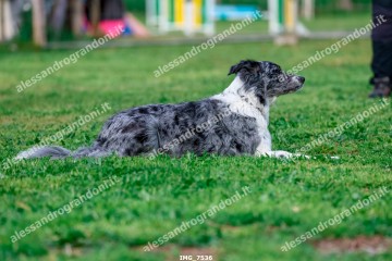 IMG_7536.jpg