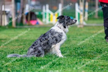 IMG_7538.jpg