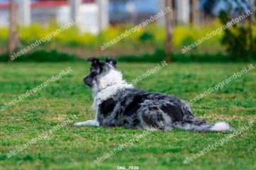 IMG_7539.jpg
