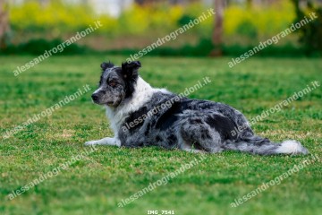 IMG_7541.jpg