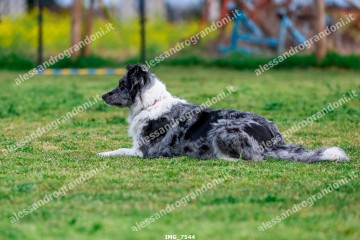IMG_7544.jpg