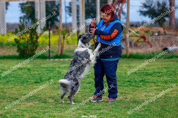 IMG_7550.jpg