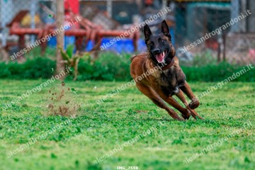 IMG_7559.jpg