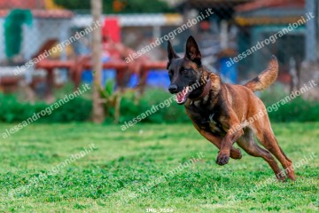 IMG_7564.jpg