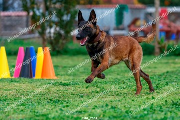 IMG_7569.jpg