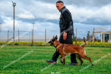 IMG_7572.jpg