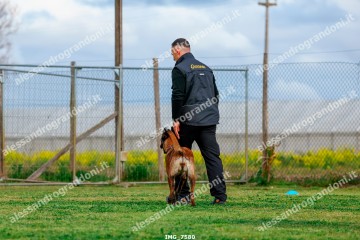 IMG_7580.jpg